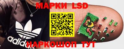 гидра Будённовск