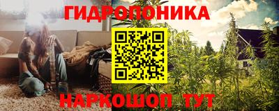 гидра Будённовск